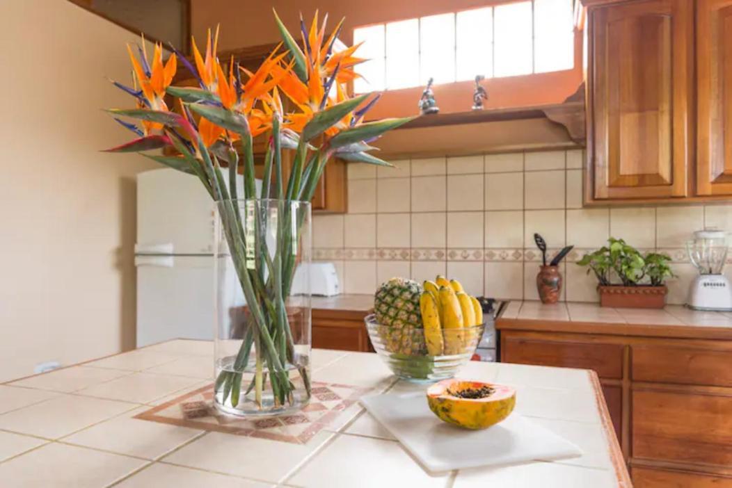 Coffee Garden Ranch Costa Rica Apartment Concepcion  ภายนอก รูปภาพ