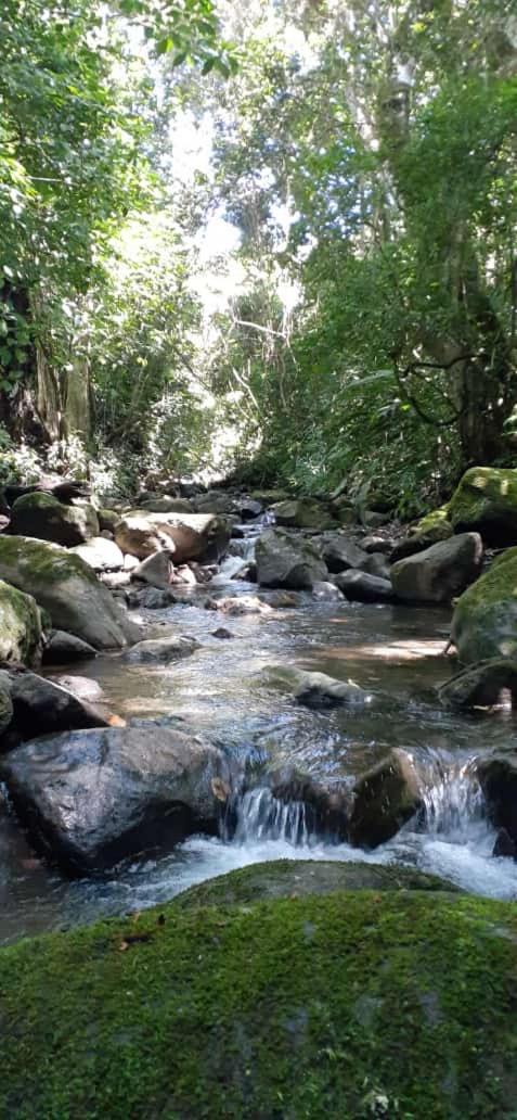 Coffee Garden Ranch Costa Rica Apartment Concepcion  ภายนอก รูปภาพ