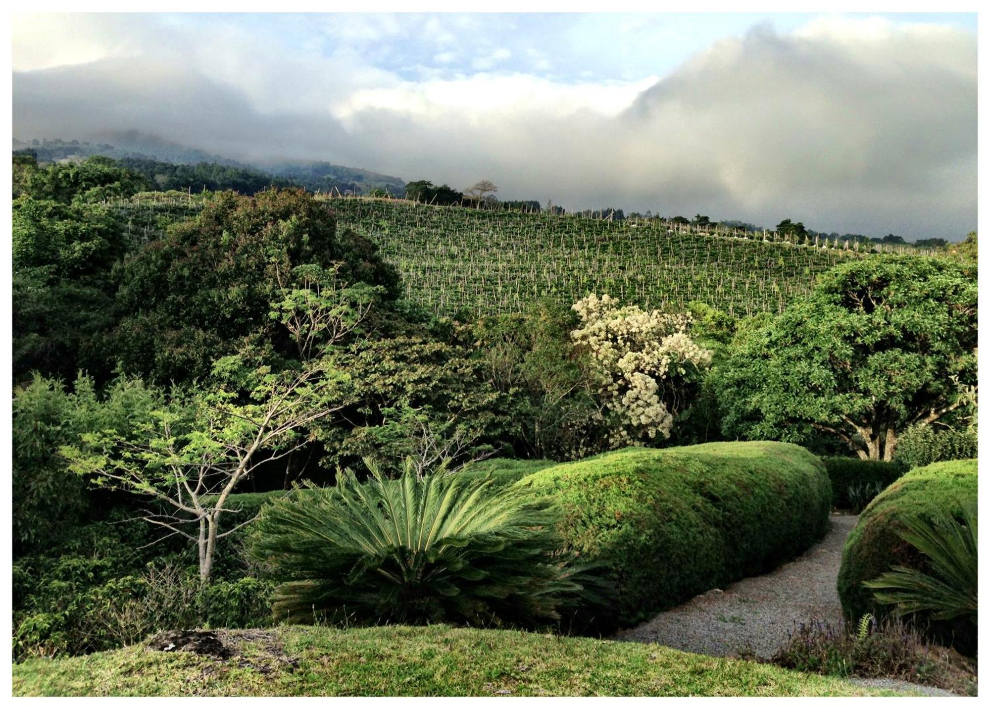 Coffee Garden Ranch Costa Rica Apartment Concepcion  ภายนอก รูปภาพ