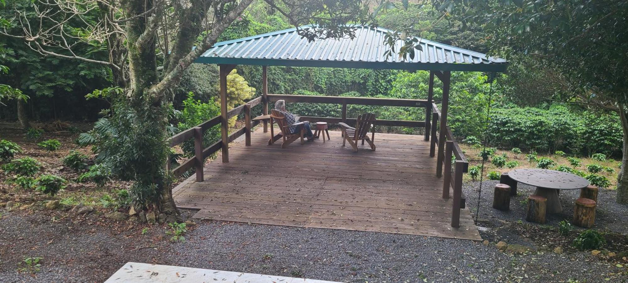 Coffee Garden Ranch Costa Rica Apartment Concepcion  ภายนอก รูปภาพ